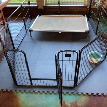 So, what makes the best dog crate floor protection mat? When Greatmats rubber or foam flooring product are placed under the crate, the floor will be protected from the frequent scratch that could otherwise occur if using a simple 36 or 48 inch rug. Indoor Dog Area, Dog Friendly Flooring, Indoor Dog Pen, Dog Kennel Flooring, Whelping Puppies, Panel Fence, Pet Pen, Puppy Pens, Indoor Dog Kennel