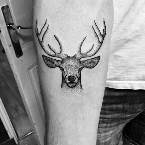 Small Dotwork Tattoo Simple, Simple Dot Work Tattoo, Dot Work Animal Tattoo, Healed Dotwork Tattoo, Dotwork Wolf Tattoo, Dot Work Deer Tattoo, Dot Work Tattoo, Work With Animals, Minimalist Tattoo