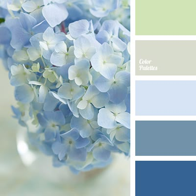 Delicate combination of shades of blue and dark blue are complemented by bright light olive and pale gray tones. Pastel paints can be used for the interior Colour Challenge, Shade Card, Color Palette Ideas, Wall Living Room, Palette Ideas, Green Colour Palette, Design Seeds, Color Balance, Colour Board