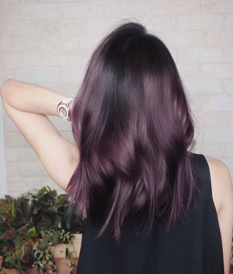 Purple Hair: Tousled & Touchable. A deep sangria tint with tousled curls. Click through for 25 dark purple hair color ideas. #darkpurplehair #darkpurplehaircolor #purplehair #purplehairideas #haircolorsforbrunettes IG: @redken Eggplant Colored Hair, Eggplant Hair, Dark Purple Hair Color, Brown Ombre Hair Color, Cinnamon Hair, Dark Purple Hair, Brown Ombre Hair, Hair Color Purple, Pinterest Hair