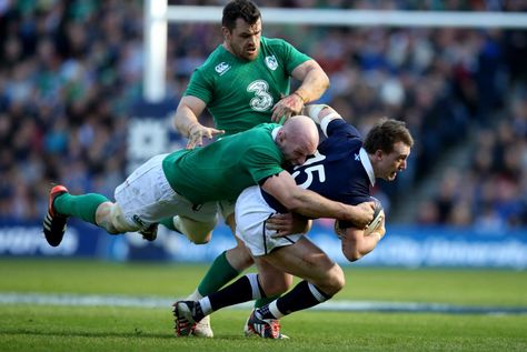 Six Nations 2015 Ireland Scotland Rugby Pictures, Ireland Scotland, Australian Football, Six Nations, Reference Photos, Art Reference Photos, Rugby, Soccer Field, Scotland