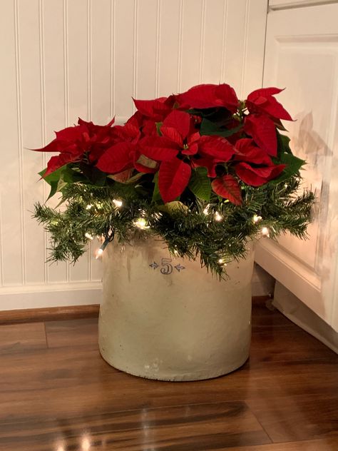 20 Gallon Crock Decorating Ideas, Coal Bucket Christmas Decor, Christmas Poinsettias Decorating Ideas, Christmas Tree In Crock, Christmas Crock Decorating Ideas, Large Crock Decorating Ideas, Crock Decor Ideas, Crock Decorating Ideas, Crock Ideas