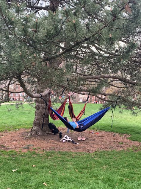 Hammock In Trees, Tree Net, Hammock Tree, Tree Hammock, Granola Aesthetic, Trees Nature, Waiting Rooms, Woodland Baby, Baby Shower Woodland