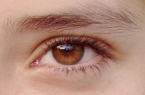 Honey-colored eye / Color de miel | Flickr - Photo Sharing! Honey Eyes, Brown Eyes Aesthetic, Beautiful Eyes Color, Amber Eyes, Beautiful Brown Eyes, Long Eyelashes, Brown Eye, Eye Photography, Corte De Cabelo Masculino