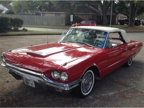 1964 Ford Thunderbird (CC-919972) for sale in Pasadena , Texas 1964 Thunderbird, 1960 Thunderbird, Pasadena Texas, Thunderbird Convertible, Cool Old Cars, 1940 Ford, 1964 Ford, Vintage Automobiles, Classic Automobiles