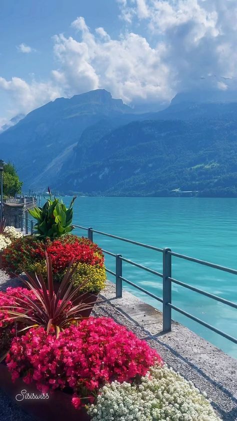 landscapes_sisiswiss on Instagram: Beautiful ✨𝓑𝓻𝓲𝓮𝓷𝔃🇨🇭 - - - - - - - - - 📍Brienzersee - - - #switzerland #swissalps #swissmountains #brienzersee #brienz #exploreswitzerland… Brienz Switzerland, Best Of Switzerland, Nature Photography Trees, Backpacking Europe Packing List, Mexico Destinations, Beautiful Flowers Photos, Best Pics, Travel List, Beautiful Scenery Nature