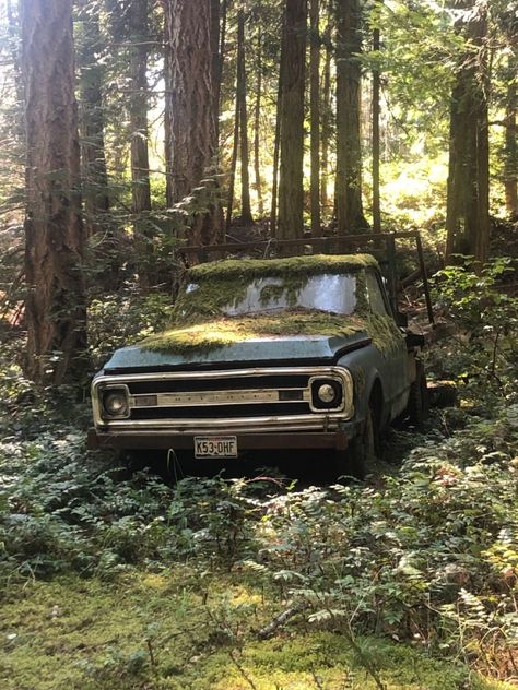 Forest Cryptid car Stanley Core Aesthetic, Cryptid Core Aesthetic Wallpaper, Cryptic Hunter Aesthetic, Jason Core Aesthetic, Small Town Cryptid Aesthetic, Creepy Farm Aesthetic, Grian Hermitcraft Aesthetic, Cryptid Hunting Aesthetic, Cryptid Aesthetic Wallpaper