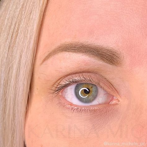 Microblading or Powder Brow — Karina Michele Micro Blading For Blondes, Powder Brows For Blondes, Microblading For Blondes, Micro Blading Vs Powder Brow, Micro Blading Eyebrow Shapes, Powder Brows Blonde Hair, Light Brown Microblading Eyebrows, Micro Blading Eyebrows Before And After, Light Brown Eyebrows With Blonde Hair