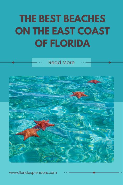 ☀️🌴 Discover the best beaches on Florida's East Coast! 🌊 From bustling boardwalks to serene shores, there's a perfect beach for everyone. #Florida #EastCoast #beaches #travel #vacation #sunshine #ocean #paradise Ocean Paradise, Florida East Coast, Old Florida, Best Resorts, Best Beaches, Florida Beaches, Travel Vacation, The East, East Coast