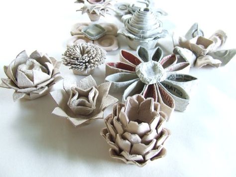 flowers made from egg cartons or toilet paper rolls oh! I want to try this for a fall / Christmas decoration! Egg Carton Art, Types Of Paper, Egg Carton Flowers, Toilet Paper Roll Art, Diy Fleur, Rolled Paper Art, Repurposed Art, Egg Cartons, Fleurs Diy