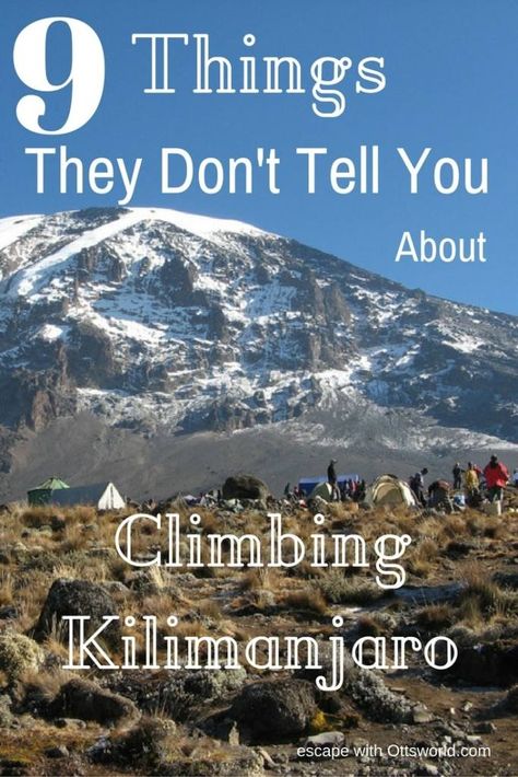 Climbing Kilimanjaro, Kilimanjaro Climb, Tanzania Travel, Devil You Know, Mount Kilimanjaro, Africa Destinations, Outdoor Climbing, Africa Safari, Best Hikes