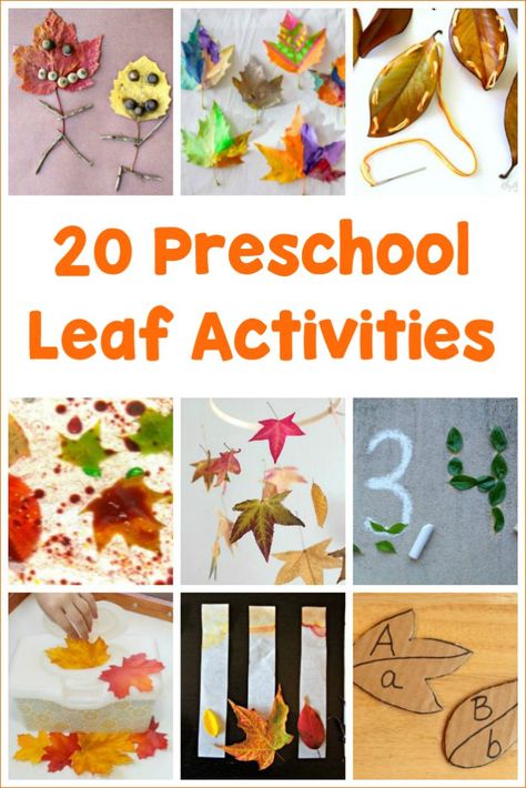 20 Preschool Leaf Activities for kids! So many crafts, literacy activities, counting and more all to be learned with leaves!  #fallwithkids #leafcrafts Preschool Leaf Activities, Preschool Leaves Activities, Fall Leaf Activities, Leaf Lesson Plans, Leaf Activity, Fall Leaves Activities, Leaf Lessons, Leaf Activities, Homeschool Adventures