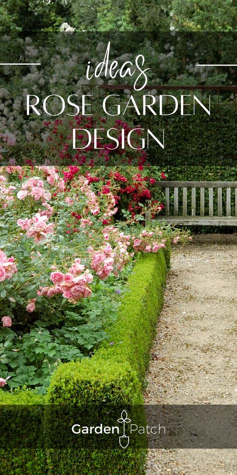 Landscape Roses Front Yards, Modern Rose Garden Design, Parterre Rose Garden, Roses And Boxwood Front Yards, Landscaping With Roses Front Yard, Roses And Lavender Garden Front Yards, Rose Garden Plans Layout, Boxwoods And Roses Front Of House, Small Rose Garden Design Backyard Ideas