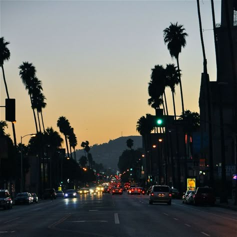 Beads Makeup, Paris Home Decor, Fit Accessories, Wine Alcohol, Sunset Blvd, Night Vibes, City Of Angels, California Love, California Dreamin'