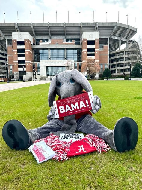 Bama Aesthetic, University Of Alabama Aesthetic, Bama Cheer, Alabama Mascot, Alabama Vs Auburn, Alabama Football Game, Cool Football Pictures, Roll Tide Football, Alabama College