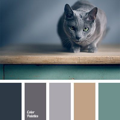 The skin color of Russian blue cat is abundant with the shades of gray, ranging from blue to pink. And combination of gray and acid green will fit perfectl. Color Concept, Colors Schemes, Palette Design, Color Palate, Design Seeds, Living Room Bathroom, Bath Room, Russian Blue, Colour Board