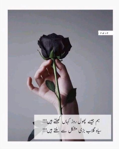 #poetry #world #poetrycommunity #poetsofinstagram #urduquotes #urdushayari #urdupoetrylovers #broken #heart #maryam Ghalib Poetry, Urdu Funny Poetry, Love Romantic Poetry, Soul Poetry, Love Poetry Images, Urdu Love Words, Broken Soul, Poetry Quotes In Urdu, Urdu Poetry Romantic