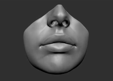 Lip Anatomy, Stylized Reference, Sculpt Ideas, Anatomy Female, Zbrush Anatomy, Head Studies, Random Reference, Head Reference, Female Lips