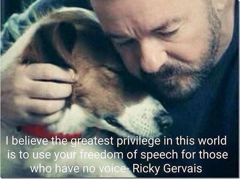 Chinese Dog, Ricky Gervais, Game Mode, Jack Russells, Animal Advocacy, Jack Russell Terrier, Dog Quotes, Small Dog, Jack Russell