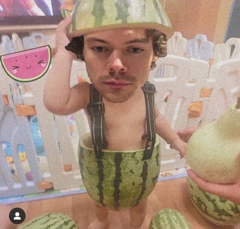 Harry Styles Funny, Harry Styles, Watermelon, Fruit, Birthday, Funny