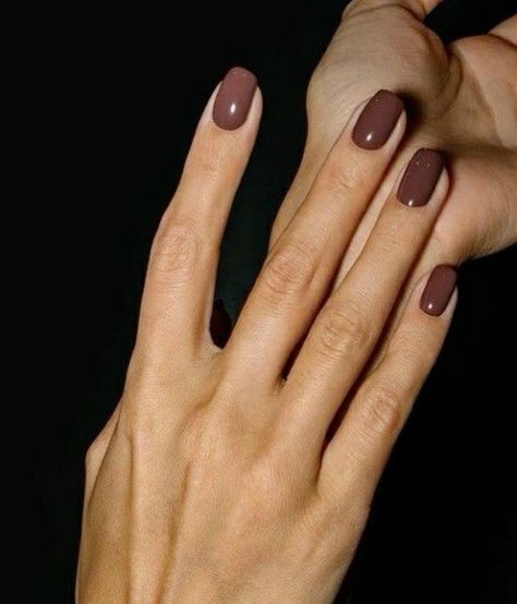 Nails Fall/winter, Nails For Soft Autumn, Fall Taupe Nails, Nail Color Pale Skin, Pinkish Brown Nails, Neutral Thanksgiving Nails, Short Brown Acrylic Nails, Soft Summer Nail Colors, Espresso Nails