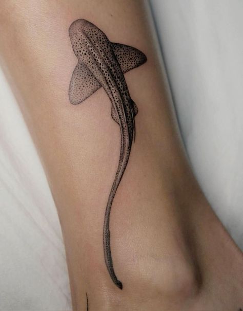 Ocean Knee Tattoo, Zebra Shark Tattoo, Nevaeh Tattoo, Shark Tattoo Back, Leopard Shark Tattoo, Nurse Shark Tattoo, Sting Ray Tattoo, December Tattoo, Fancy Tattoo