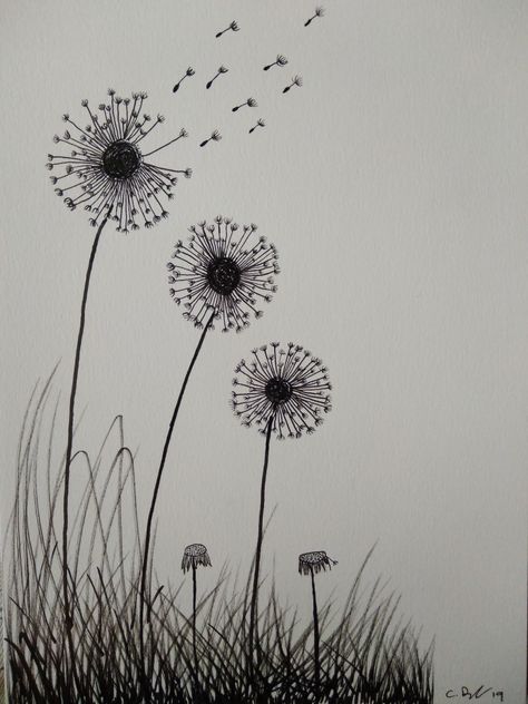 Freehand Dandilines Flower Drawing, Dandelion Sketch, Dandelion Sketch Simple, Dandelion Drawing Realistic, Line Drawing Dandelion, Dandelion Vector Illustration, Dandelion Drawing, Dandelion Art, Dandelion Clock