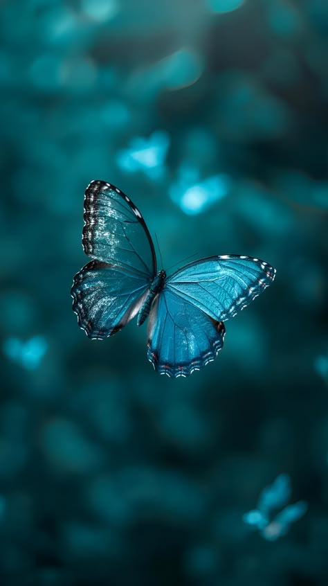 Capture the fleeting grace of nature with this mesmerizing photo of a blue butterfly in flight. Don't let this moment pass—save & follow for more enchanting visuals. Amid a dreamy backdrop of teal and dark blue hues, the vivid blue wings of this possibly Morpho species unfold in a dance of color and light, inviting you to get lost in its artistry. Perfect for adding a touch of serenity to your space. 🦋✨  #BlueButterfly #NatureArt #SaveAndFollow #ArtPrints #ImagePromptAi #ButterflyBeauty Wallpaper Mariposas, Black Butterflies Aesthetic, Raven Quotes, Teal And Dark Blue, Light Blue Butterfly, Butterfly In Flight, Dreamy Backdrop, Butterfly Video, Black And Blue Wallpaper