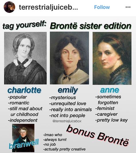 The Bronte Sisters Aesthetic, Bronte Sisters Quotes, Jane Eyre Memes Funny, Bronte Sisters Aesthetic, Emily Bronte Aesthetic, Branwell Bronte, Jane Eyre Aesthetic, Bronte Sisters Books, The Bronte Sisters