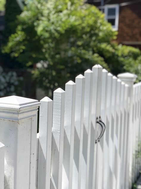 #whitepicketfences  I love taking walks around my neighborhood.   It's so quiet these days with no cars and very few people about.  🎨I spotted three houses that all have very pretty white picket fences  🎉I think of these as more of an east coast, Maine and Cape Cod, kinda thing.   😍But many of us are transplanted east coasters so we're drawn to what we love from our past.  Check out the pretty pop of red! Picked Fence, White Picket Fences, Taking Walks, Picket Fences, Pop Of Red, White Picket Fence, Three Houses, Picket Fence, The Pretty