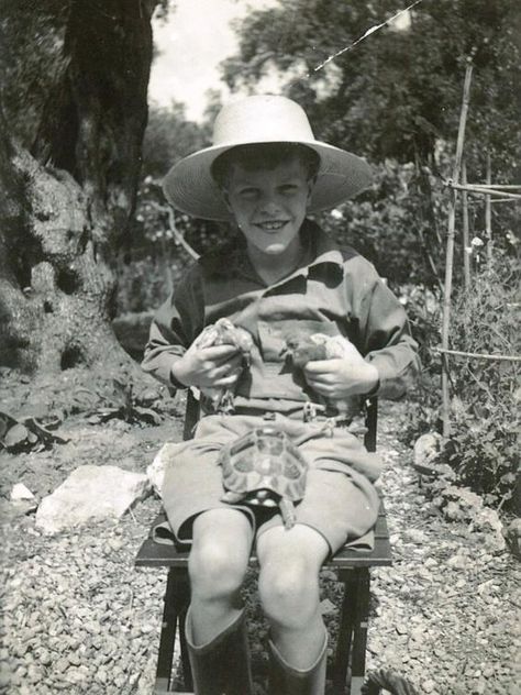 The Durrells In Corfu, Gerald Durrell, Four Eyes, Book Writer, Famous Photographers, 60th Anniversary, Corfu, Zoology, Photo Archive