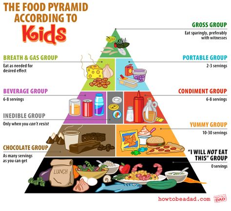 [ click the images to enlarge ]   Children look at food and nutrition differently than adults do. Sometimes they don't even look at it, they just breath it in without even chewing. Some are picky and have roulette wheels for appetites. But whatever the case, the food groups... #diagram #food #funny Food Pyramid Kids, Nutrition Pyramid, Laugh Of The Day, Kids Foods, Food Pyramid, Food Groups, Health Snacks, Baby Center, Healthy Meals For Kids