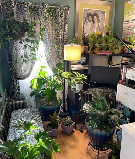 Alt Room, Plant Room, Future Apartment Decor, House In Nature, Apartment Aesthetic, Dark Interiors, House Plants Decor, Dreamy Room, Room With Plants