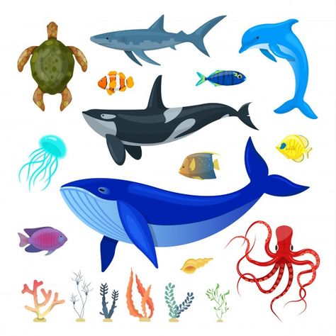 Sea Clipart, Underwater Creatures, Aquatic Animals, Whale Shark, Ocean Animals, Animal Illustration, Premium Vector, Graphic Resources, Stock Illustration