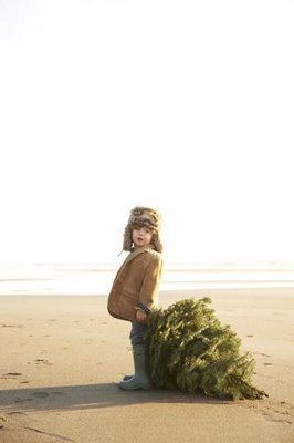 Christmas On Beach, Toddler Christmas Photo Ideas, Christmas Beach Photos, Beach Christmas Pictures, Toddler Christmas Photos, Christmas Card Photo Ideas, Beach Christmas Card, Megan Ward, Christmas Card Photos