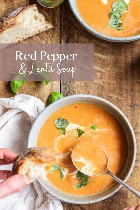 In this roasted red pepper and lentil soup, peppers are roasted and blended along with spices and nutritious red lentils. Soup - red pepper recipes - lentil recipes - vegetarian meals Blended Soup Recipes, Roasted Red Peppers Recipes, Lentils Soup, Red Lentil Recipes, Red Pepper Recipes, Soft Foods Diet, Roasted Red Pepper Soup, Lentil Chili, Pepper Recipes