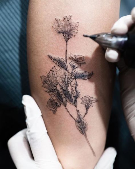 Hongdam on Instagram: "Bernadette’s bougainvilleas and jasmines" Bougainvillea Tattoo, Hongdam Tattoo, Top Surgery, Scar Tattoo, Fine Line Tattoos, Dope Tattoos, Bougainvillea, Break Out, Line Tattoos