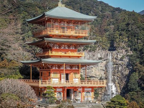 Best Trekking Asia // Waterfall Kumano Kodo Trail Japan Ise Grand Shrine, Kumano Kodo, Global Boho, Things To Do In Japan, Cedar Forest, Inle Lake, Largest Waterfall, Ancient Temples, Day Hike