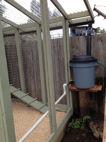 Rainwater return system for auto watering Chicken Tractor Watering System, Rain Water Chicken Waterer, Auto Chicken Waterer, Chicken Rain Water System, Chicken Run Water Ideas, Chicken Coop Rainwater System, Rainwater Container, Chicken Watering System, Chicken Backyard