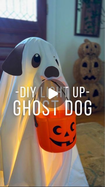 Mary Beth Wilhelm on Instagram: "Another fun Halloween DIY! 🐶 This is the cousin of Doug the viral Ghost Dog from Pottery Barn…except he doesn’t have a name yet. 🤔 
The most expensive part of this DIY was the foam ball. They’re outrageous for whatever reason, but you can always use a rubber/plastic playground ball instead. I used an old twin bed sheet. I folded it in half, placed it over the tomato cage, and cut around the bottom. I also shoved a set of 100 white Christmas lights underneath. Let me know if you have any questions!" Cute Diy Halloween Decorations Outdoor, Diy Lighted Ghost, Friendly Ghost Decorations, Ghost Made Out Of Tomato Cage, Diy Outside Ghost Decorations, Halloween Decorations Indoor Cute, Diy White Pumpkins, Diy Dog Ghost, Tomato Cage Ghost With Arms