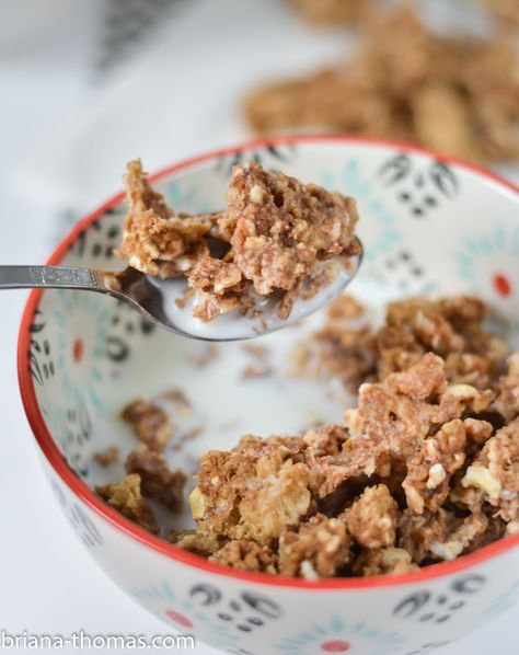 Easy Granola | Briana Thomas Thm Granola, Leftover Oatmeal, Montana Kitchen, Thm Snacks, Briana Thomas, Thm Breakfast, Trim Healthy Mama Plan, Trim Healthy Momma, Easy Granola