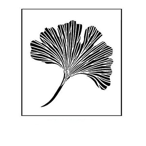 Ginkgo Stencil, Sketching Lessons, Ginko Biloba, Stencils Printables, Lesbian Art, Copper Sheets, Ginkgo Leaf, Sgraffito, Skin Art