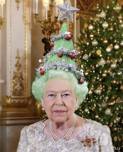 Queen Elizabeth Memes, Queen Eli, England Funny, Christmas Queen, Queen Meme, The Queen Of England, British Traditions, Queen Elisabeth, Hm The Queen