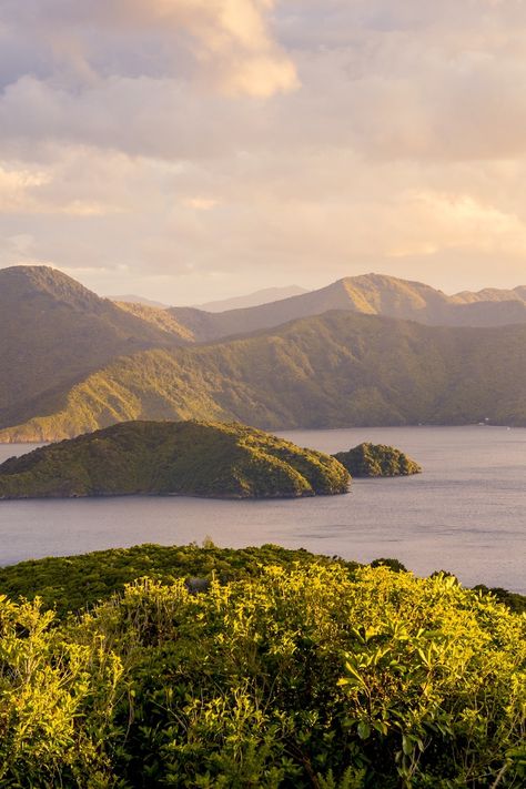 5 spectacular walks in New Zealand's Marlborough region Marlborough New Zealand, Marlborough Sounds, Waterfront Restaurant, Secluded Beach, Scenic Routes, Uk Travel, Christchurch, Plan Your Trip, Hiking Trails