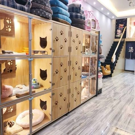 Cat Cabinet, Cat Apartment, Pet Store Design, Cat Villa, Dog Boarding Facility, Dog Boarding Kennels, Wooden Cat House, Colorful Hairstyles, Villa Apartment