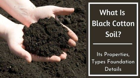 Black Cotton Soil is a cohesive soil. It is considered a difficult or problematic soil for civil engineers. It possesses the characteristics of swelling during rainy and shrinking during summer. … Black Cotton Soil – Its Types, Properties, Composition Read More » Worm Bin, Growing Lavender, Composting At Home, Organic Compost, Plants For Hanging Baskets, Organic Soil, Diy Outdoor Decor, Soil Ph, Clay Soil