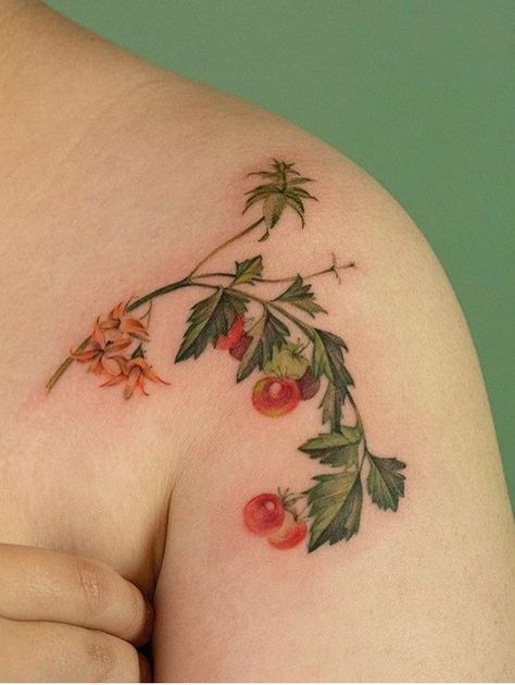 17 Juicy Tomato Tattoo Designs 2024: From Minimalist to Traditional Artistry Tomato Tattoo Ideas, Tomato Leaf Tattoo, Tomato Plant Tattoo Simple, Tomato Flower Tattoo, Cherry Tomato Tattoo, Tomato Vine Tattoo, Tomato Plant Tattoo, Missy Tattoo, Tattoo Designs Shoulder