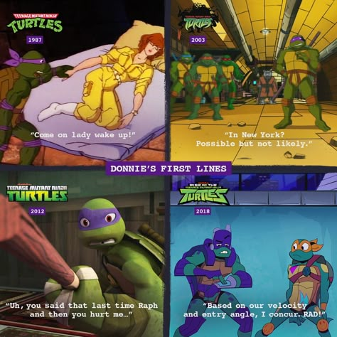 Tmnt Batman Crossover, Tmnt Crossover, Tmnt Girls, Turtles Forever, Tmnt Characters, Ninja Turtles Funny, Purple Turtle, Teenage Mutant Ninja Turtles Artwork, Teenage Mutant Ninja Turtles Art