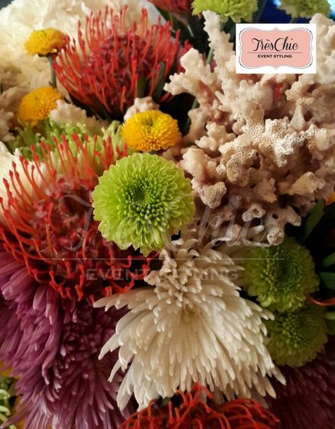 Coral reef centerpieces conmemorating 100 years of the Panama Canal.  Ocean themed party Coral Reef Centerpieces, Ocean Themed Party, Barrier Reef Australia, Ocean Theme Birthday, Ocean Theme Party, Ocean Reef, Panama Canal, Sea Theme, Ocean Theme