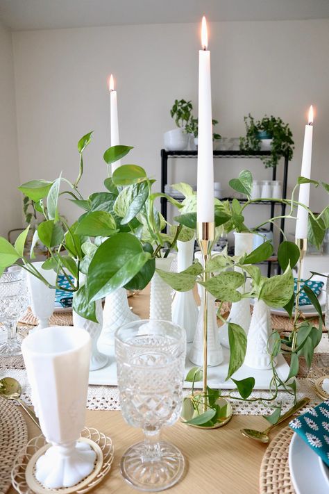 A WILD houseplant tablescape - by Rachael Burger Potted Plant Centerpieces, Jungle Centerpieces, Plant Centerpieces, Plant Party, Bella Wedding, Beautiful Table Settings, Wedding Table Decorations, Wedding Table Centerpieces, House Plant